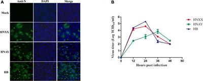 Isolation and Identification of a Recombinant Porcine Epidemic Diarrhea Virus With a Novel Insertion in S1 Domain